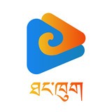 91网站免费版APP应用