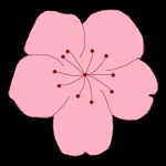 精彩破门视频APP 精彩破门视频APP