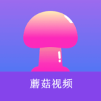 高清🈚码免费17cAPP应用