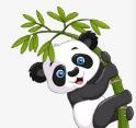 努努视频下载APP应用